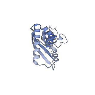 10223_6skf_Ad_v1-1
Cryo-EM Structure of T. kodakarensis 70S ribosome