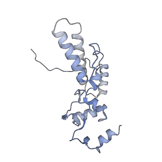 10223_6skf_Ae_v1-1
Cryo-EM Structure of T. kodakarensis 70S ribosome