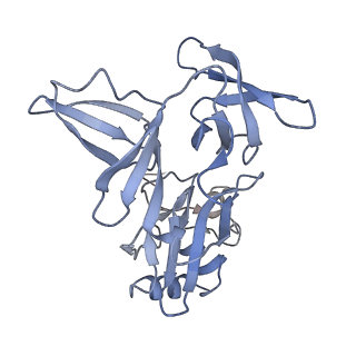 10223_6skf_Af_v1-1
Cryo-EM Structure of T. kodakarensis 70S ribosome