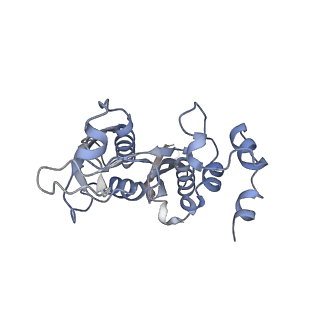 10223_6skf_Ag_v1-1
Cryo-EM Structure of T. kodakarensis 70S ribosome
