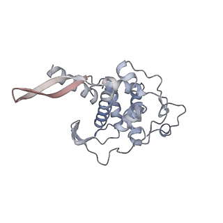 10223_6skf_Ai_v1-1
Cryo-EM Structure of T. kodakarensis 70S ribosome