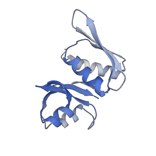 10223_6skf_Aj_v1-1
Cryo-EM Structure of T. kodakarensis 70S ribosome