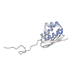 10223_6skf_Al_v1-1
Cryo-EM Structure of T. kodakarensis 70S ribosome