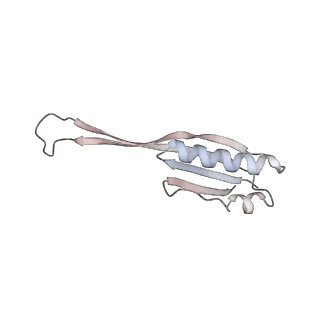 10223_6skf_Am_v1-1
Cryo-EM Structure of T. kodakarensis 70S ribosome