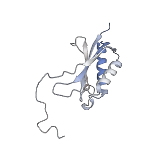 10223_6skf_An_v1-1
Cryo-EM Structure of T. kodakarensis 70S ribosome