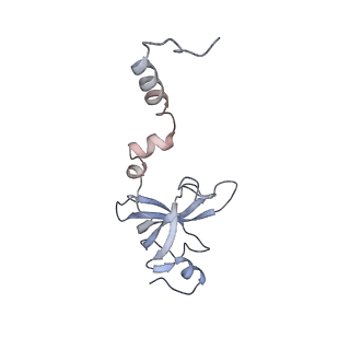 10223_6skf_Ao_v1-1
Cryo-EM Structure of T. kodakarensis 70S ribosome