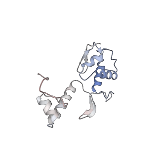 10223_6skf_Ap_v1-1
Cryo-EM Structure of T. kodakarensis 70S ribosome