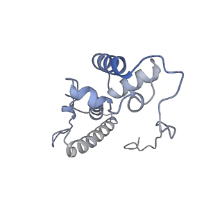 10223_6skf_Aq_v1-1
Cryo-EM Structure of T. kodakarensis 70S ribosome