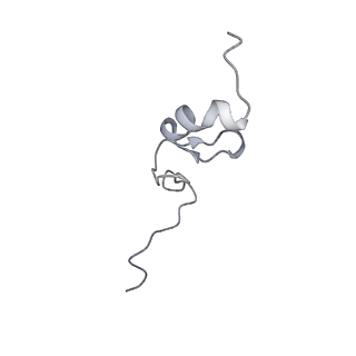 10223_6skf_Ar_v1-1
Cryo-EM Structure of T. kodakarensis 70S ribosome