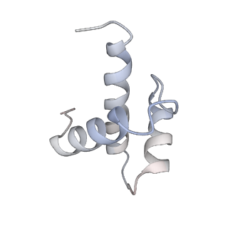 10223_6skf_At_v1-1
Cryo-EM Structure of T. kodakarensis 70S ribosome