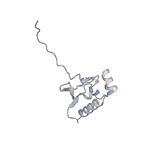 10223_6skf_Au_v1-1
Cryo-EM Structure of T. kodakarensis 70S ribosome