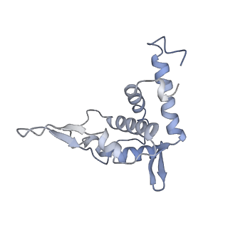 10223_6skf_Av_v1-1
Cryo-EM Structure of T. kodakarensis 70S ribosome