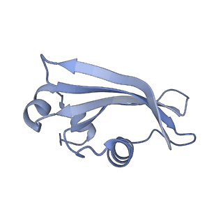 10223_6skf_Aw_v1-1
Cryo-EM Structure of T. kodakarensis 70S ribosome