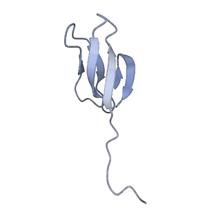 10223_6skf_Ax_v1-1
Cryo-EM Structure of T. kodakarensis 70S ribosome