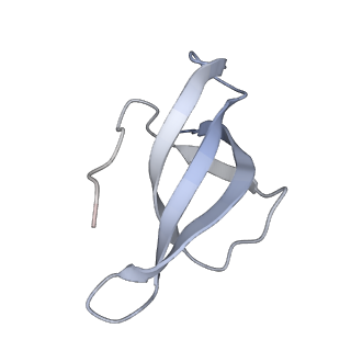 10223_6skf_Ay_v1-1
Cryo-EM Structure of T. kodakarensis 70S ribosome