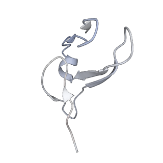 10223_6skf_Az_v1-1
Cryo-EM Structure of T. kodakarensis 70S ribosome