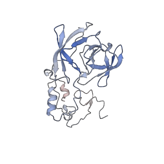 10223_6skf_BC_v1-1
Cryo-EM Structure of T. kodakarensis 70S ribosome