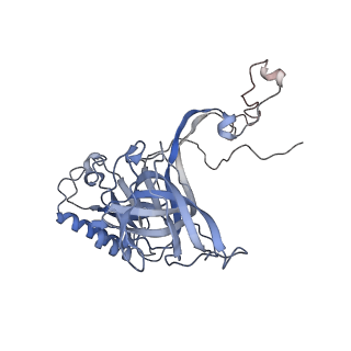 10223_6skf_BD_v1-1
Cryo-EM Structure of T. kodakarensis 70S ribosome