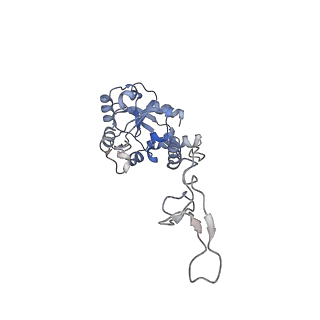 10223_6skf_BE_v1-1
Cryo-EM Structure of T. kodakarensis 70S ribosome