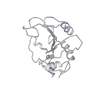 10223_6skf_BF_v1-1
Cryo-EM Structure of T. kodakarensis 70S ribosome