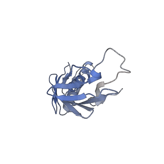 10223_6skf_BG_v1-1
Cryo-EM Structure of T. kodakarensis 70S ribosome