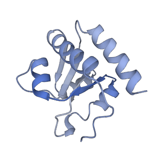 10223_6skf_BH_v1-1
Cryo-EM Structure of T. kodakarensis 70S ribosome