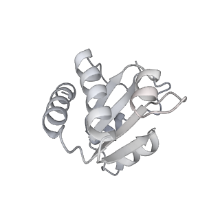 10223_6skf_BI_v1-1
Cryo-EM Structure of T. kodakarensis 70S ribosome