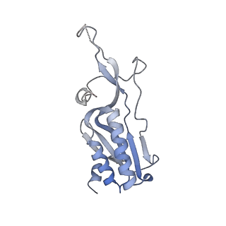 10223_6skf_BJ_v1-1
Cryo-EM Structure of T. kodakarensis 70S ribosome