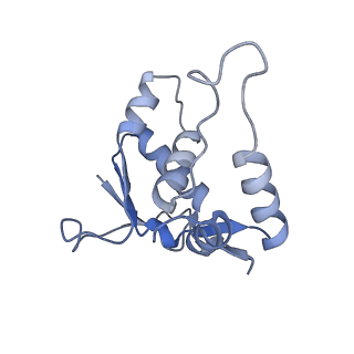 10223_6skf_BK_v1-1
Cryo-EM Structure of T. kodakarensis 70S ribosome