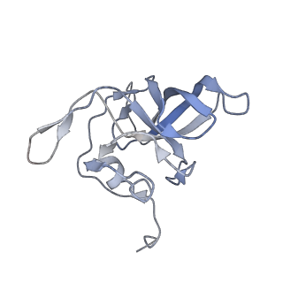 10223_6skf_BL_v1-1
Cryo-EM Structure of T. kodakarensis 70S ribosome