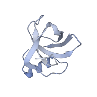 10223_6skf_BN_v1-1
Cryo-EM Structure of T. kodakarensis 70S ribosome