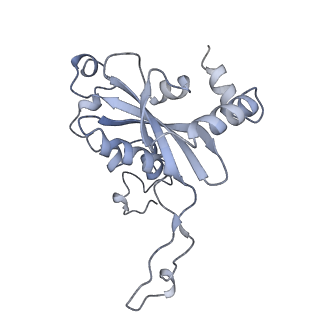 10223_6skf_BP_v1-1
Cryo-EM Structure of T. kodakarensis 70S ribosome
