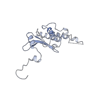 10223_6skf_BQ_v1-1
Cryo-EM Structure of T. kodakarensis 70S ribosome