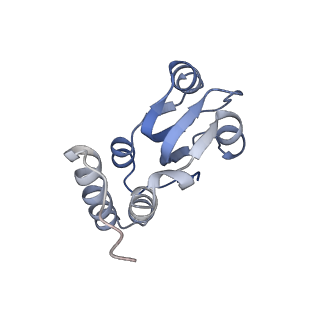 10223_6skf_BR_v1-1
Cryo-EM Structure of T. kodakarensis 70S ribosome