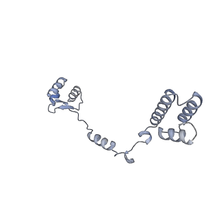 10223_6skf_BS_v1-1
Cryo-EM Structure of T. kodakarensis 70S ribosome