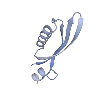 10223_6skf_BT_v1-1
Cryo-EM Structure of T. kodakarensis 70S ribosome
