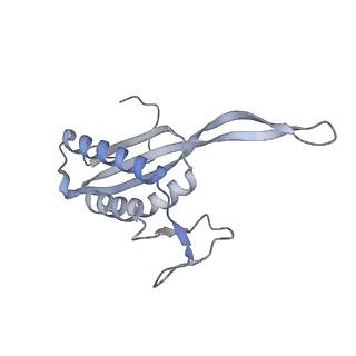 10223_6skf_BV_v1-1
Cryo-EM Structure of T. kodakarensis 70S ribosome