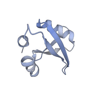10223_6skf_BW_v1-1
Cryo-EM Structure of T. kodakarensis 70S ribosome
