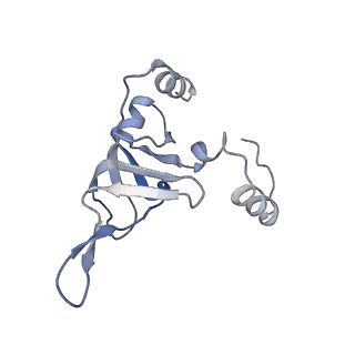 10223_6skf_BX_v1-1
Cryo-EM Structure of T. kodakarensis 70S ribosome