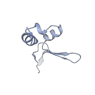 10223_6skf_BY_v1-1
Cryo-EM Structure of T. kodakarensis 70S ribosome