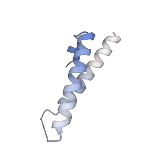 10223_6skf_BZ_v1-1
Cryo-EM Structure of T. kodakarensis 70S ribosome