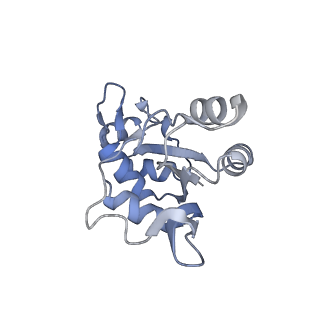 10223_6skf_Ba_v1-1
Cryo-EM Structure of T. kodakarensis 70S ribosome