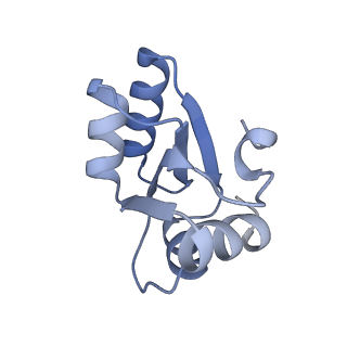 10223_6skf_Bb_v1-1
Cryo-EM Structure of T. kodakarensis 70S ribosome