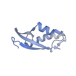10223_6skf_Bc_v1-1
Cryo-EM Structure of T. kodakarensis 70S ribosome