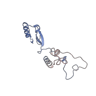 10223_6skf_Bd_v1-1
Cryo-EM Structure of T. kodakarensis 70S ribosome