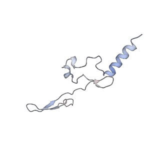 10223_6skf_Be_v1-1
Cryo-EM Structure of T. kodakarensis 70S ribosome