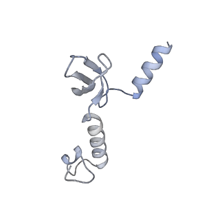 10223_6skf_Bg_v1-1
Cryo-EM Structure of T. kodakarensis 70S ribosome