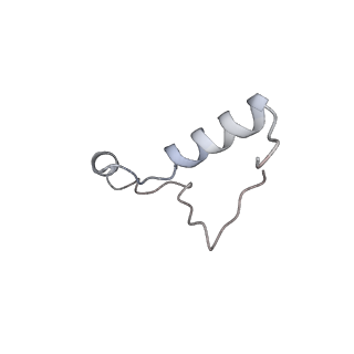 10223_6skf_Bi_v1-1
Cryo-EM Structure of T. kodakarensis 70S ribosome