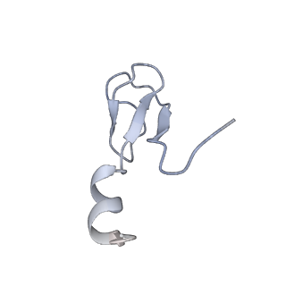 10223_6skf_Bj_v1-1
Cryo-EM Structure of T. kodakarensis 70S ribosome