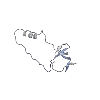 10223_6skf_Bl_v1-1
Cryo-EM Structure of T. kodakarensis 70S ribosome